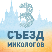 3 C